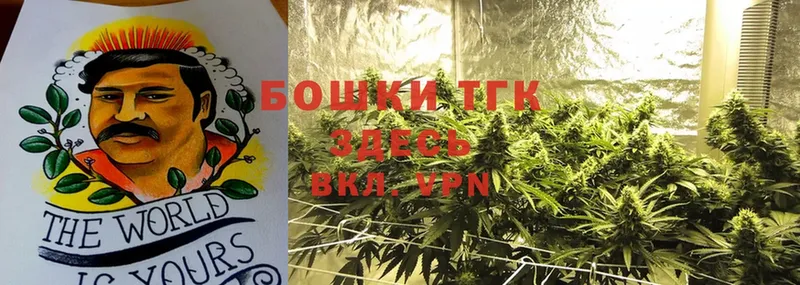 Конопля SATIVA & INDICA  Белоярский 